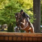A Thoroughbred Renaissance Takes Shape at Upperville